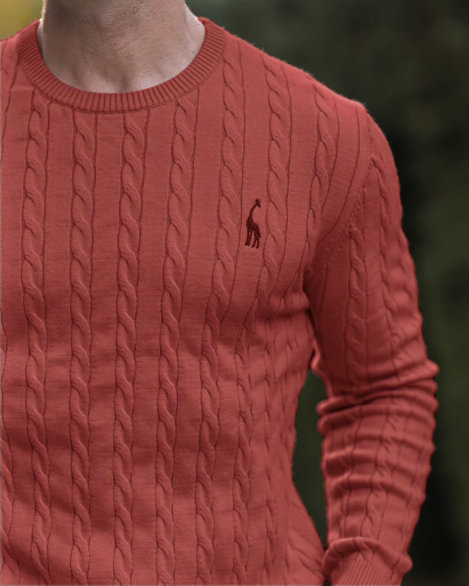 Men’s Cable-Knit Sweater — view 4